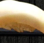 1White-Tuna-Sushi-seattle-best-sushi-seattle-wa1.jpg